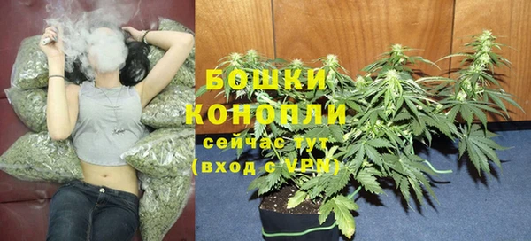 эйфоретик Зерноград