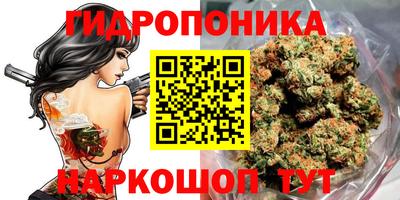 бошки Лесосибирск