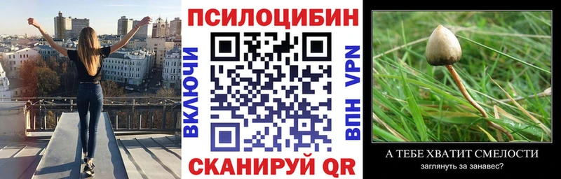 Галлюциногенные грибы MAGIC MUSHROOMS  Купить где  Кизилюрт 