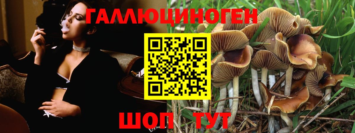 Псилоцибиновые грибы прущие грибы  Галлюциногенные грибы Magic Shrooms  Кизилюрт  Вход с VPN 